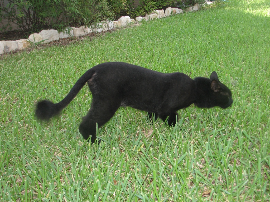 20100206 268.JPG